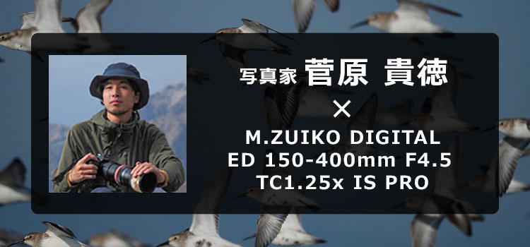 写真家 菅原 貴徳 × M.ZUIKO DIGITAL ED 150-400mm F4.5 TC1.25x IS PRO