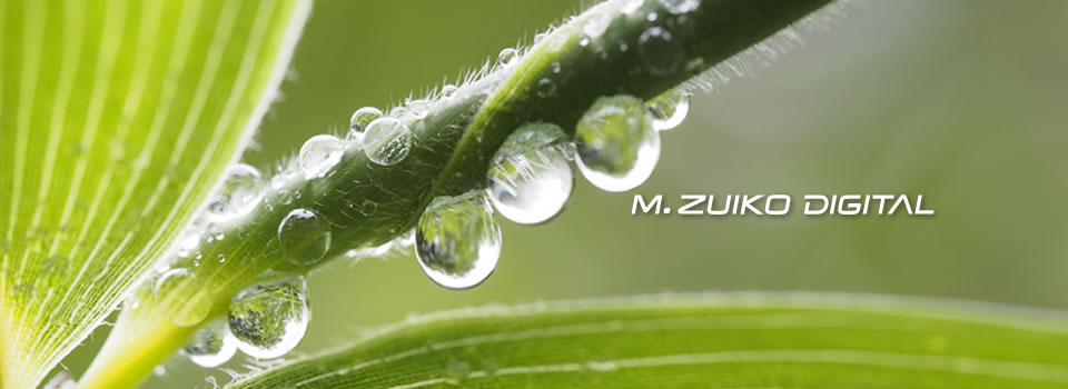 M.ZUIKO ED 60mm f2.8 Macro