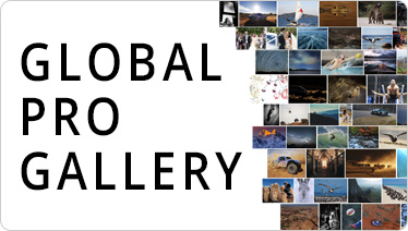 GLOBAL PRO GALLERY