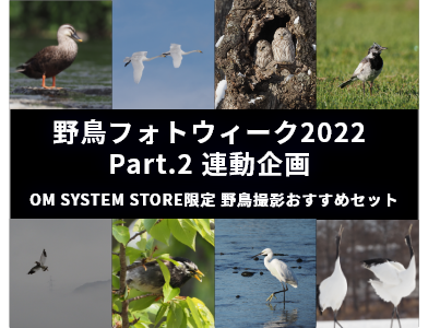 野鳥フォトウィーク2022 Part.2連動企画 OM SYSTEM STORE限定　野鳥撮影おすすめセット