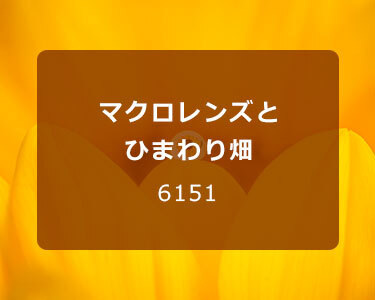 写真家 6151～しずく撮影に挑戦！マクロレンズとひまわり畑～