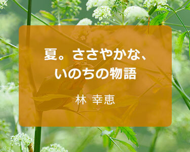 写真家 林 幸恵～夏。ささやかな、いのちの物語～