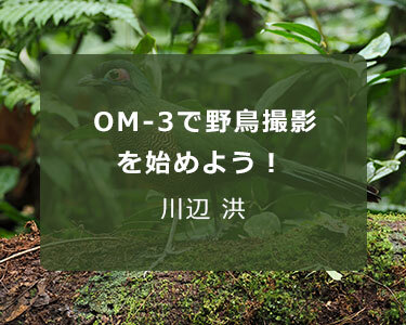 写真家 川辺 洪 ～OM-3で野鳥撮影を始めよう！～