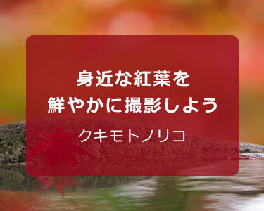 写真家 クキモト ノリコ～身近な紅葉を鮮やかに撮影しよう～