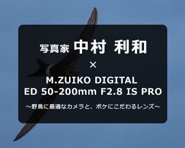 写真家 中村 利和 × M.ZUIKO DIGITAL ED 50-200mm F2.8 IS PRO～野鳥に最適なカメラと、ボケにこだわるレンズ～
