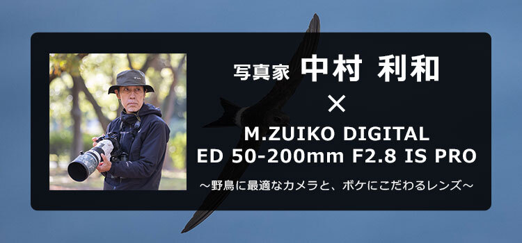 【特集】写真家 中村 利和 × M.ZUIKO DIGITAL ED 50-200mm F2.8 IS PRO～野鳥に最適なカメラと、ボケにこだわるレンズ～