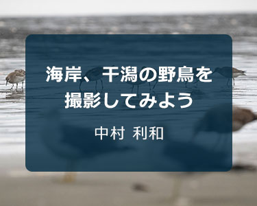 写真家 中村 利和～海岸、干潟の野鳥を撮影してみよう～