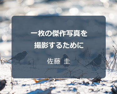 写真家 佐藤 圭～一枚の傑作写真を撮影するために～