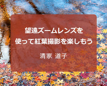 写真家 清家 道子 ～望遠ズームレンズを使って紅葉撮影を楽しもう～