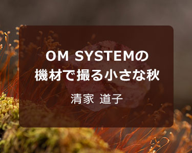 写真家 清家 道子～OM SYSTEMの機材で撮る小さな秋～