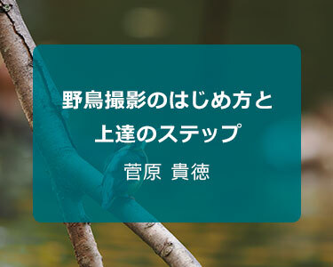 写真家 菅原 貴徳～野鳥撮影のはじめ方と上達のステップ～