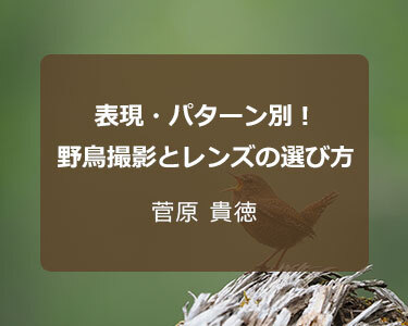 写真家 菅原 貴徳～表現・パターン別！野鳥撮影とレンズの選び方～