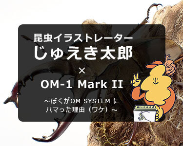 OM-1 Mark II × 昆虫イラストレーター じゅえき太郎～ぼくがOM SYSTEM にハマった理由（ワケ）～