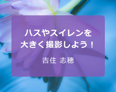 写真家 吉住 志穂～ハスやスイレンを大きく撮影しよう！～