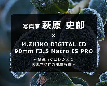写真家 萩原 史郎 × M.ZUIKO DIGITAL ED 90mm F3.5 Macro IS PRO
～望遠マクロレンズで表現する自然風景写真～