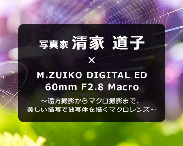 写真家 清家 道子 × M.ZUIKO DIGITAL ED 60mm F2.8 Macro～遠方撮影からマクロ撮影まで、美しい描写で被写体を描くマクロレンズ～