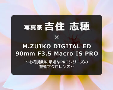 写真家 吉住 志穂 × M.ZUIKO DIGITAL ED 90mm F3.5 Macro IS PRO～お花撮影に最適なPROシリーズの望遠マクロレンズ～