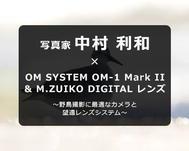 写真家 中村 利和 × OM SYSTEM OM-1 Mark II & M.ZUIKO DIGITAL レンズ～野鳥撮影に最適なカメラと望遠レンズシステム～