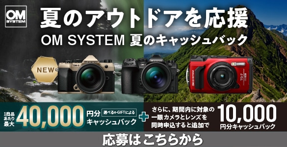 夏のキャッシュバックキャンペーン 2025