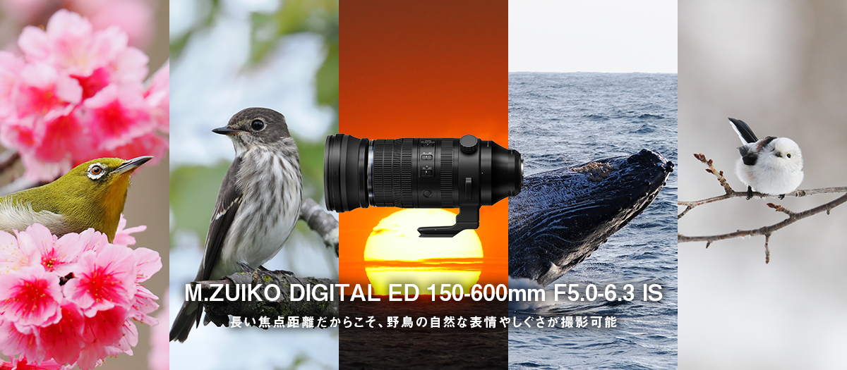 6_150-600mm製品サイト（製品オンラインストアトップ）