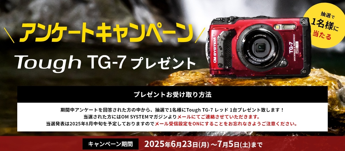 5_アンケートキャンペーン（製品オンラインストアトップ）