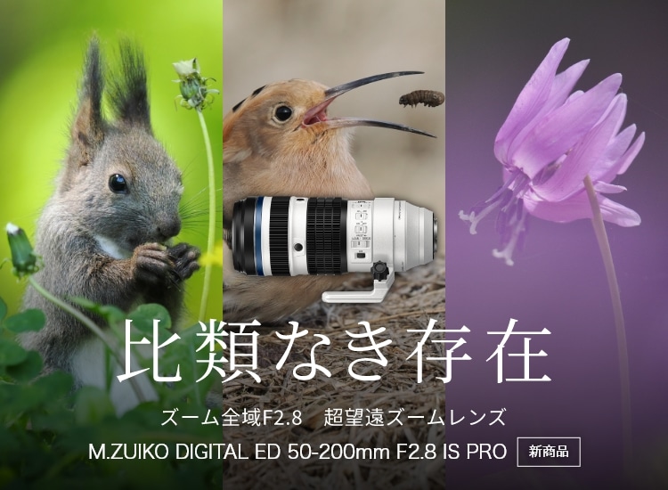 即*T様 OM SYSTEM OM-5 (7月6日まで出品) OM Digital Solutions