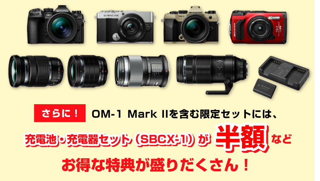 限定セットのイメージ画像