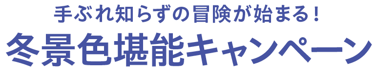 サマーキャッシュキャンペーン