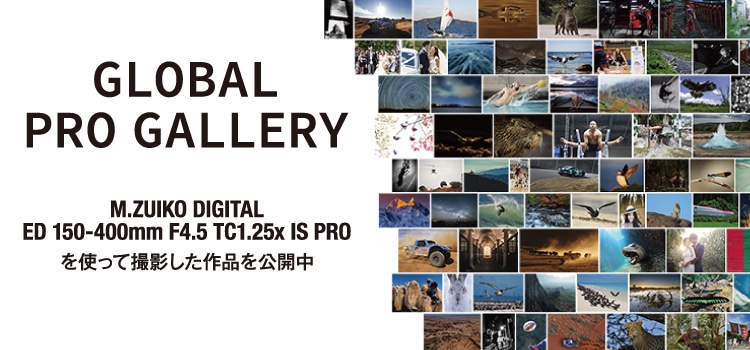 プロ写真家がM.ZUIKO DIGITAL ED 150-400mm F4.5 TC1.25x IS PROを使って撮影した作品を公開中