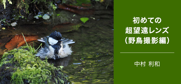 写真家 中村 利和～初めての超望遠レンズ（野鳥撮影編）～