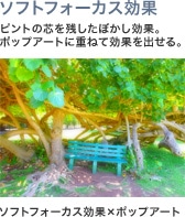 ソフトフォーカス効果 ピントの芯を残したぼかし効果。ポップアートに重ねて効果を出せる。 ソフトフォーカス効果×ポップアート