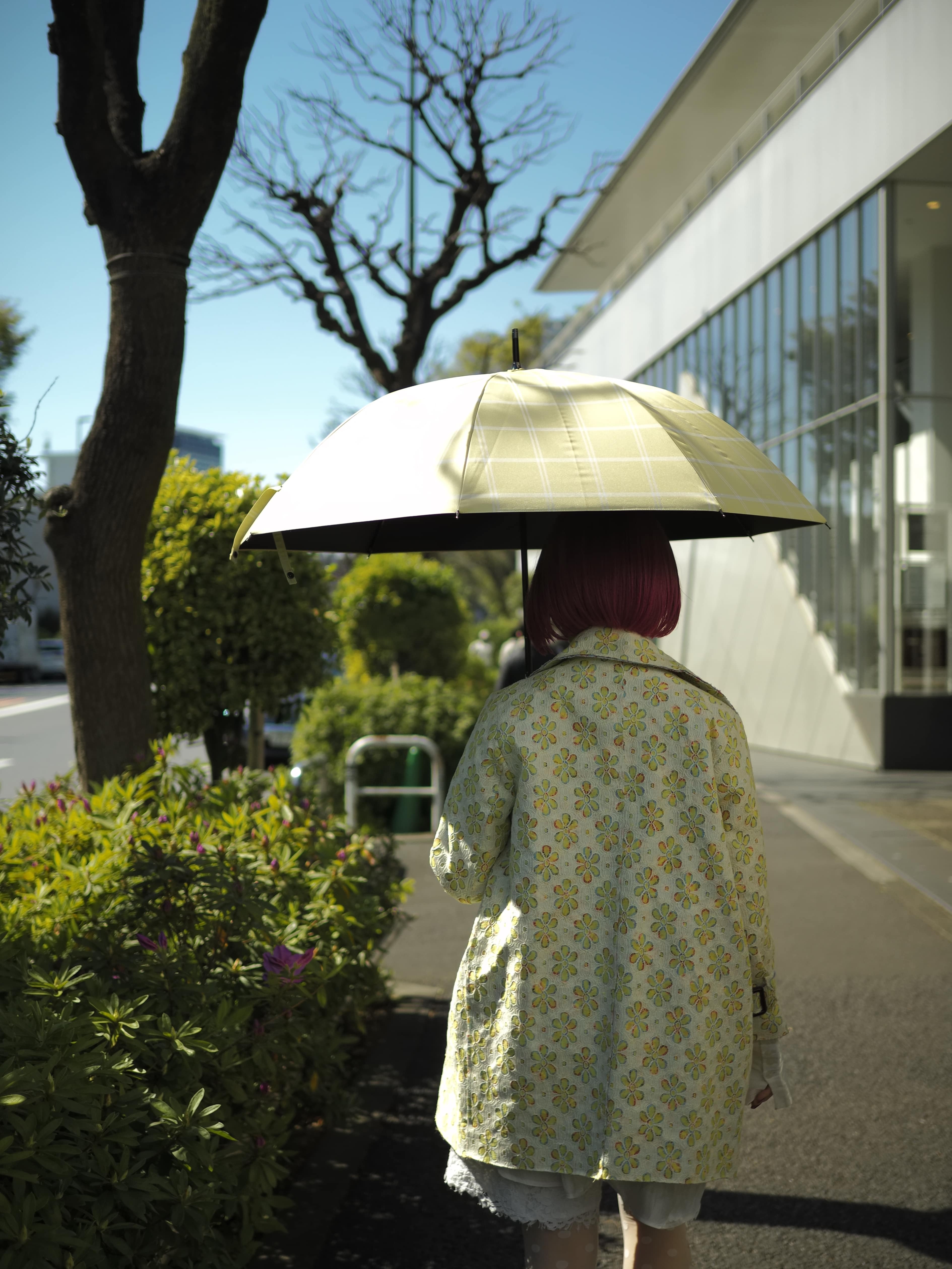 サンプル写真2