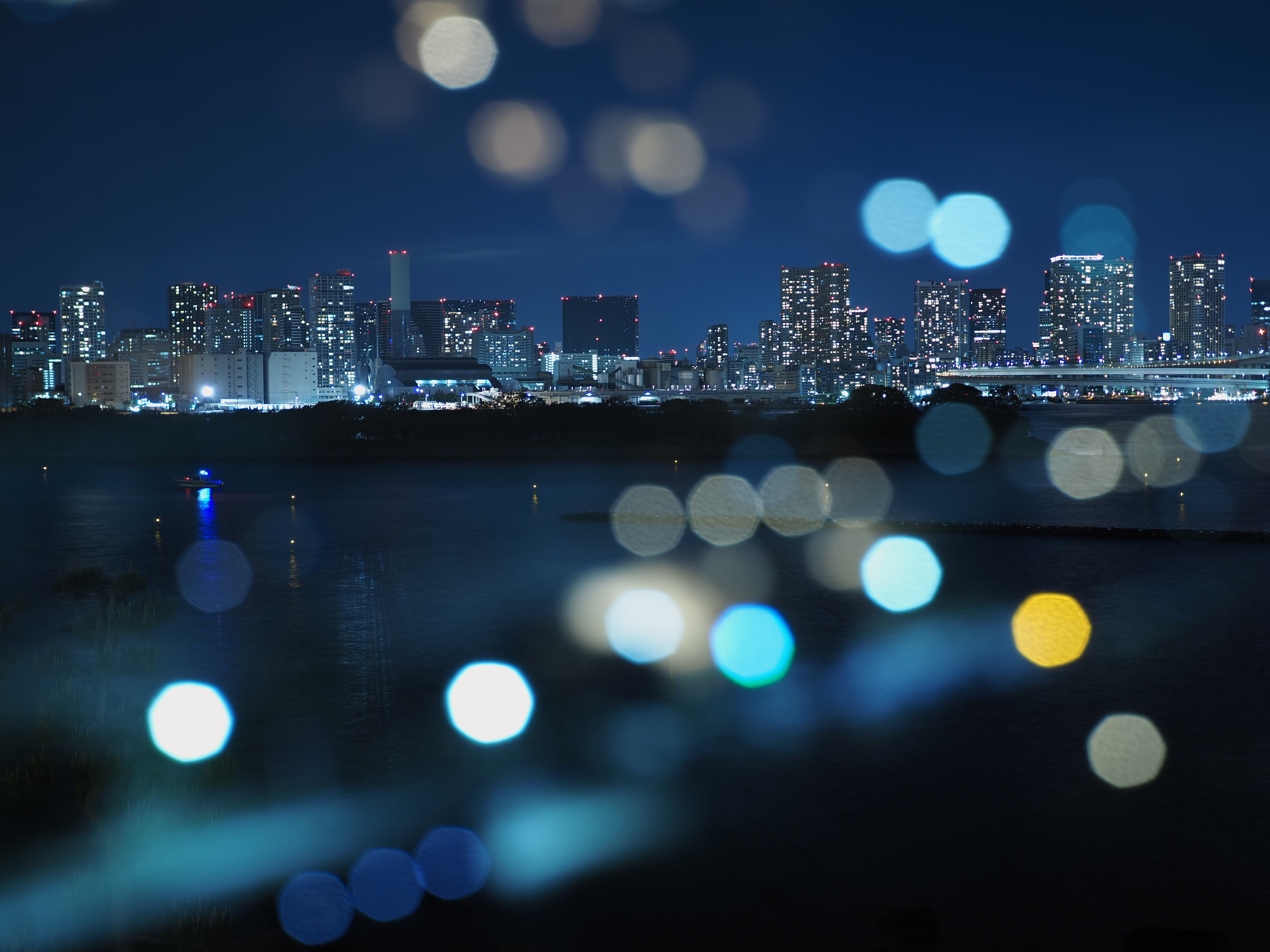 サンプル写真14