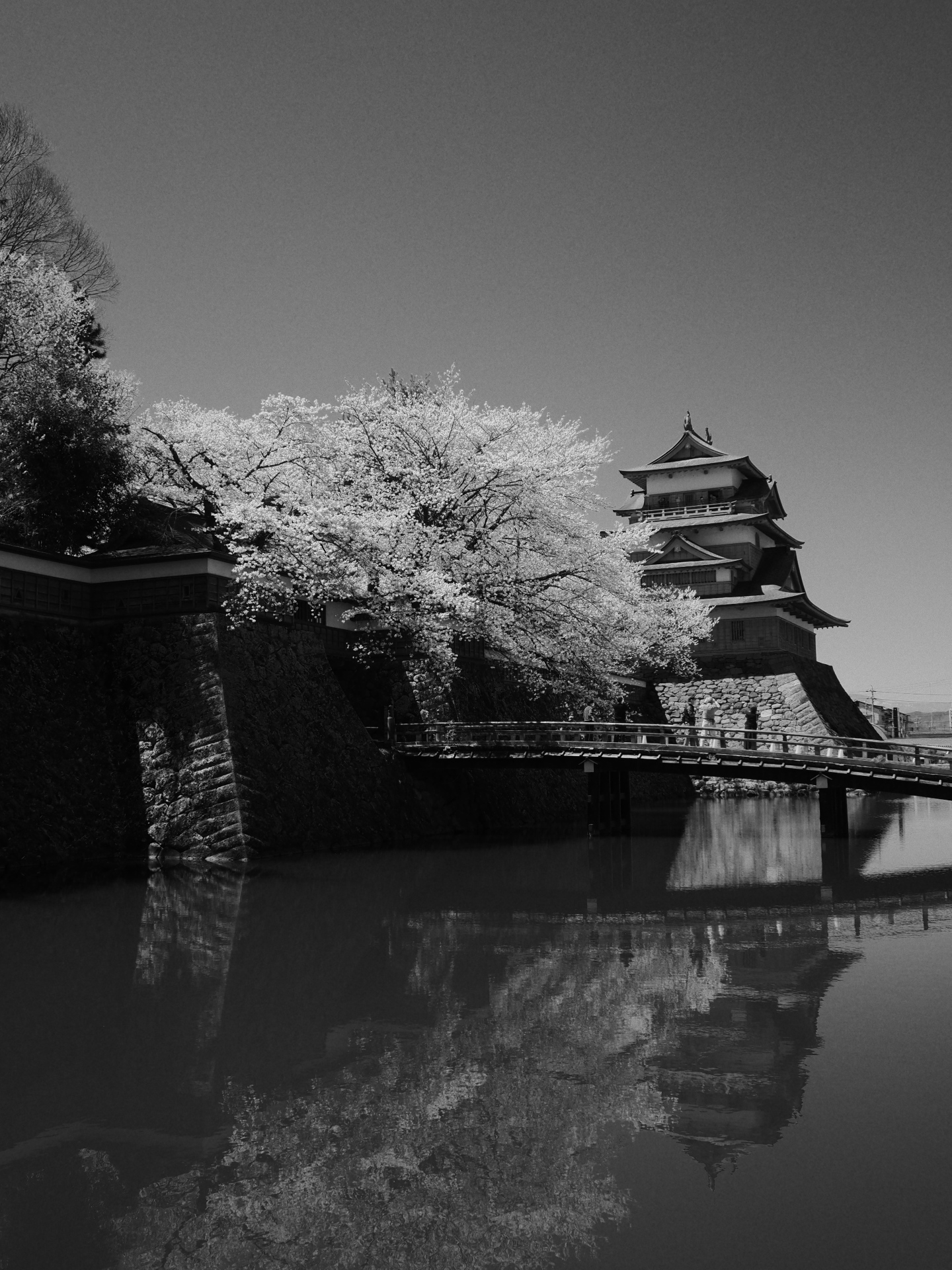 サンプル写真47