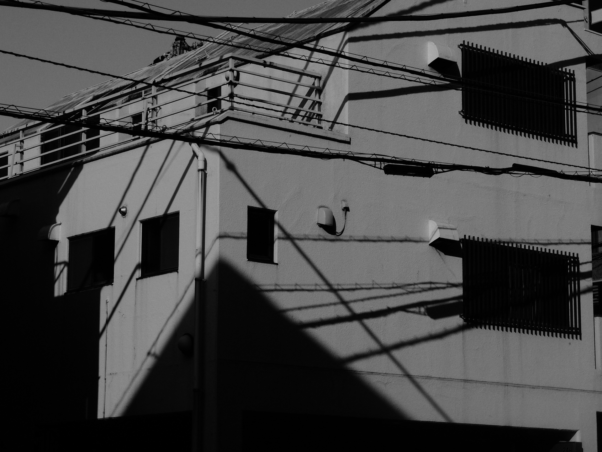 サンプル写真49