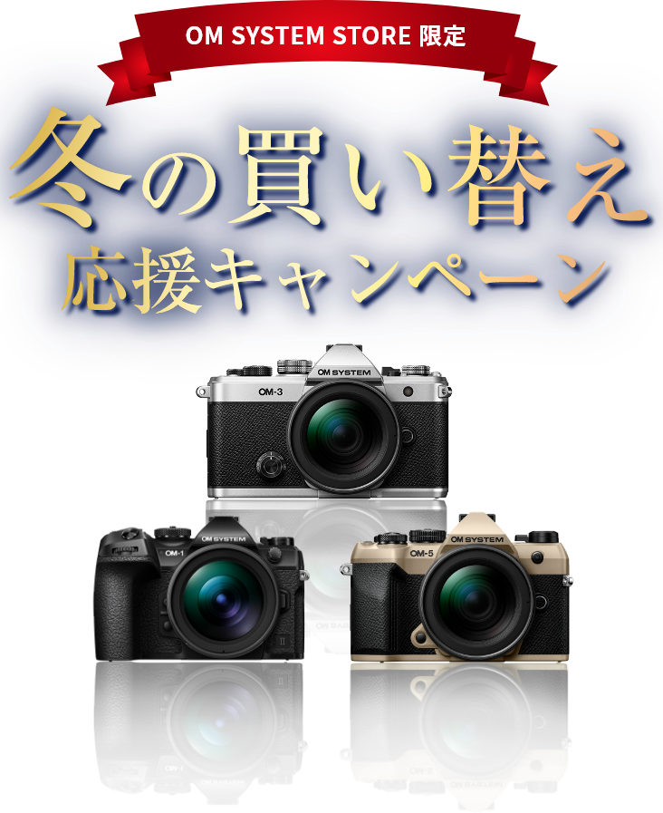 冬の買い替え応援キャンペーン