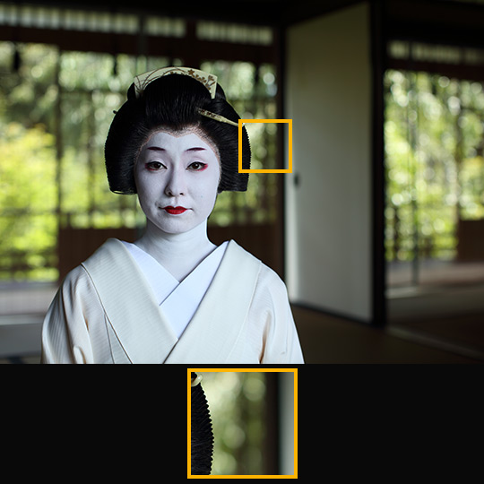 M.ZUIKO PRO F1.2 Prime Lenses“ボケを極める”F1.2大口径単焦点