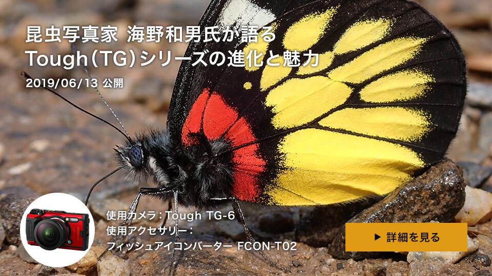 昆虫写真家 海野和男氏が語る Toughシリーズの進化と魅力