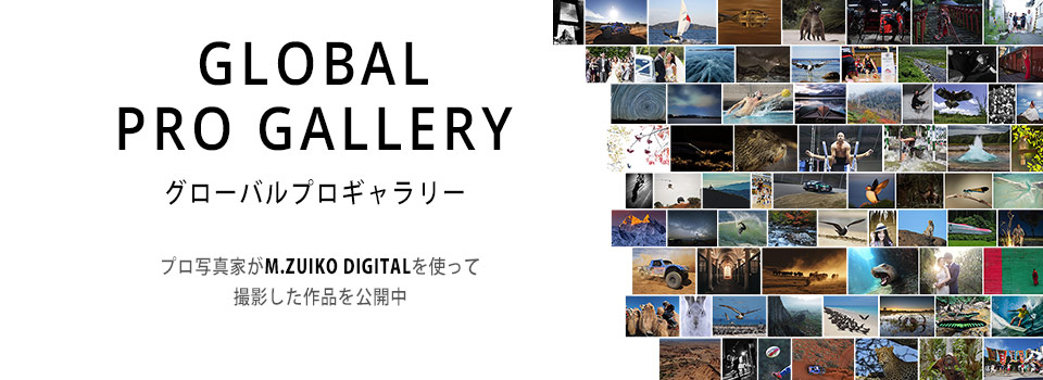 GLOBAL PRO GALLERY