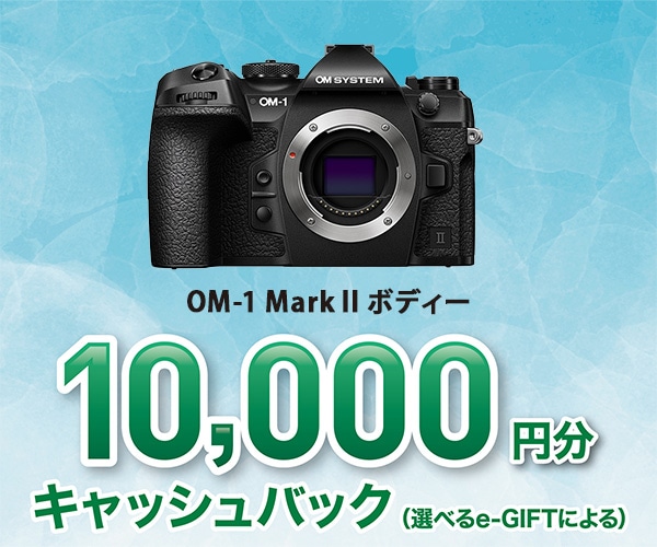 OM-1 Mark II ボディー(OM-1 Mark II ボディー): デジタル一眼 | OM