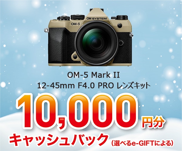 OM-5 Mark II 12-45mm F4.0 PRO レンズキット サンドベージュ サンドベージュ OM-5 Mark II 12-45mm F4.0 PRO レンズキット