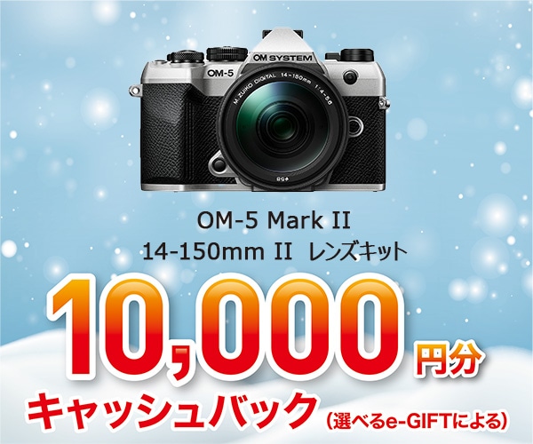 OM-5 Mark II 14-150mm Ⅱレンズキット シルバー シルバー OM-5 Mark II 14-150mm Ⅱレンズキット
