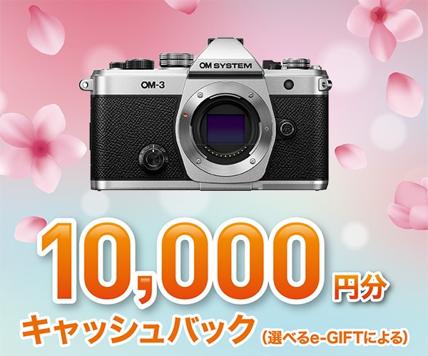 【3月16日(月)まで、期間限定】OM-3 ボディー+リチウムイオン充電池 充電器セット SBCX-1+OM-3チャーム+ラッピングクロス 【3月16日(月)まで、期間限定】OM-3 ボディー+SBCX-1+OM-3チャーム+ラッピングクロス