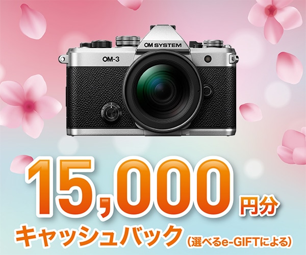 【3月16日(月)まで、期間限定】OM-3 12-45mm F4.0 PROキット+リチウムイオン充電池 充電器セット SBCX-1+OM-3チャーム+ラッピングクロス 【3月16日(月)まで】OM-3 12-45mm F4.0 PRO+SBCX-1+OM-3チャーム+ラッピングクロス