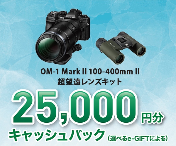 OM-1 Mark II 100-400mm II 超望遠レンズキット OM-1 Mark II 100-400mm II 超望遠レンズキット