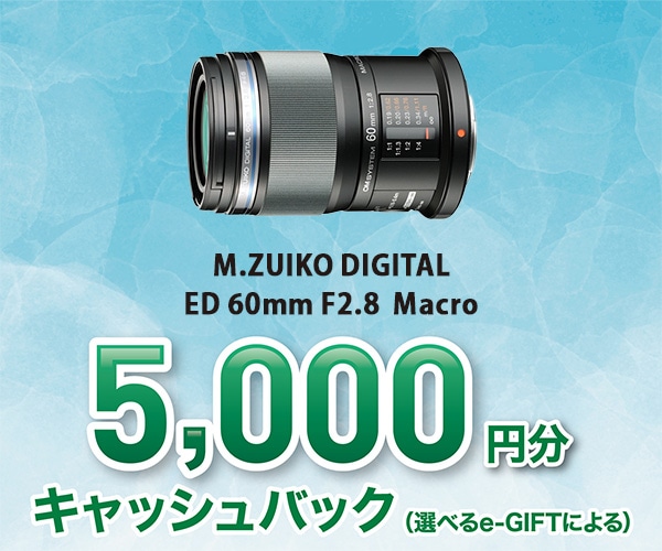 基本情報｜M.ZUIKO DIGITAL ED 60mm F2.8 Macro｜マクロレンズ｜交換