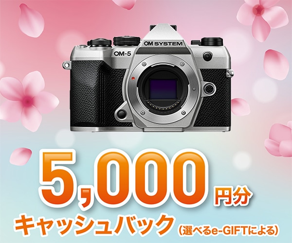 OM-5 Mark II ボディー シルバー シルバー OM-5 Mark II ボディー