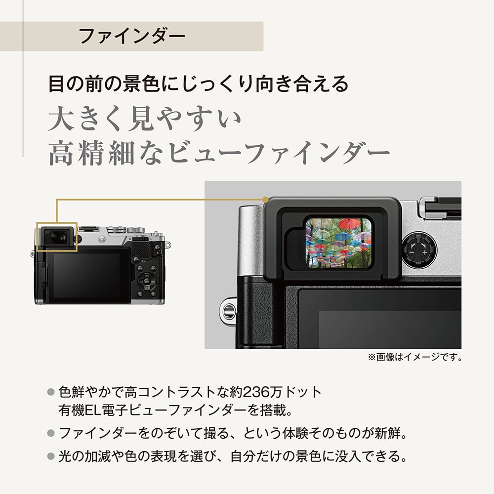 PEN ボディー シルバー シルバー PEN ボディー