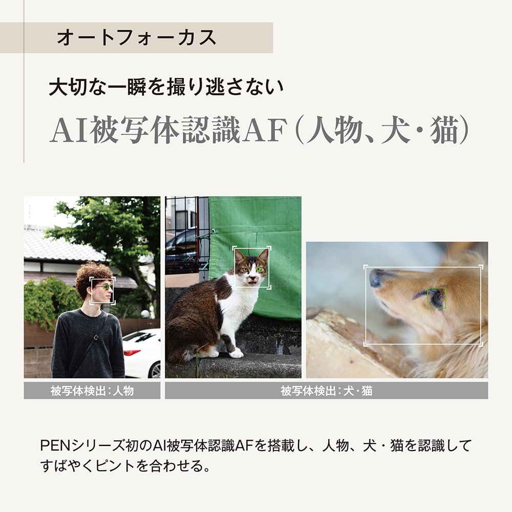 PEN ボディー ブラック ブラック PEN ボディー