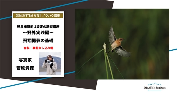 【オンライン:動画視聴講座】2月期 写真家 菅原貴徳 野鳥撮影向け設定の基礎講座~野外実践編~飛翔撮影の基礎